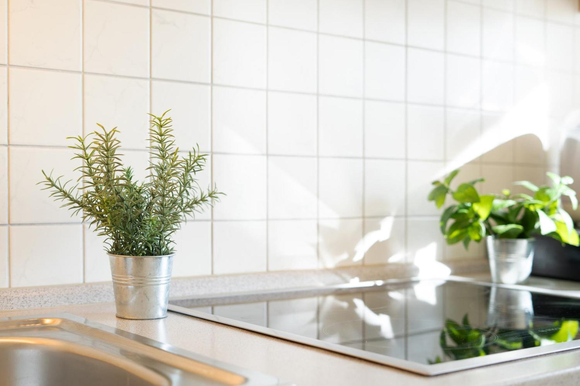 Relax Apartment Burg auf Fehmarn Ngoại thất bức ảnh
